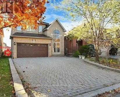 BASEMENT - 282 FOREST RUN BOULEVARD in Vaughan - Image 1
