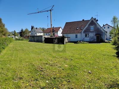 BAUGRUNDSTÜCK MIT ALTBESTAND IN WEIßENHORN in Senden - Bild 1