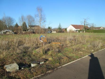 BELLE PARCELLE à Strasbourg - Photo 1