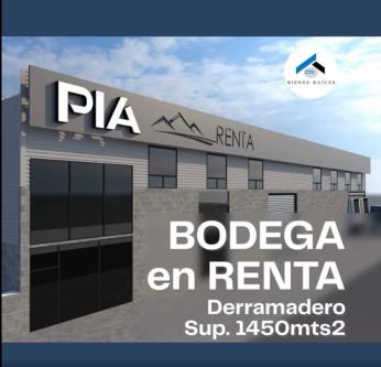 BODEGA EN RENTA EN DERRAMADERO en Saltillo - Imagen 1