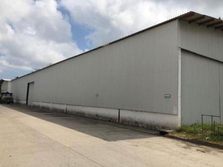 BODEGA EN RENTA en Amozoc de Mota - Imagen 1