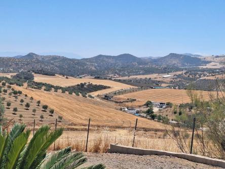 BONITA FINCA RUSTICA CAMARLES en Antequera - Imagen 1