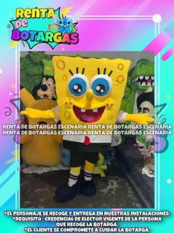 BOTARGAS EN RENTA MONTERREY en Yucatán - Imagen 8