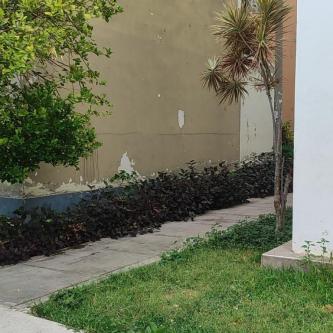 BUSCO DAMAS DECIDIDAS PARA ENCUENTROS INTIMOS DISCRETOS TODO PIU en Piura - Imagen 1