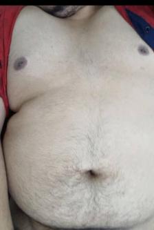 BUSCO OSOS GORDOS PELUDOS en Ciudad de México (CDMX) - Imagen 1