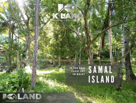 Balet, Island Of Garden Samal, Samal, Lot For Sale in Samal - Image 1