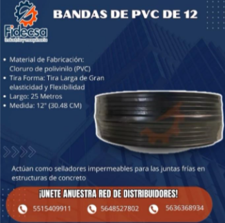 Banda de PVC de 12 Pul0 en Tepic - Imagen 1