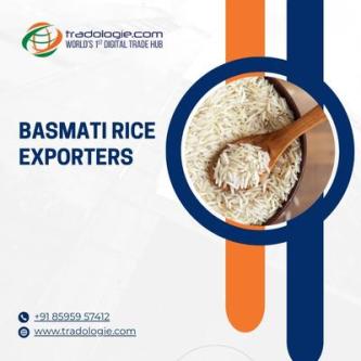 Basmati vs Non-Basmati Rice – Key Differences, Uses & Bulk Trade in Noida - Image 1