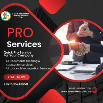 Bast PRO Services in Dubai - Image 1
