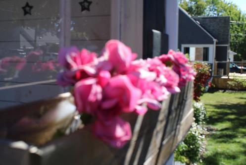 Beginner Photographer in Guelph - Image 3