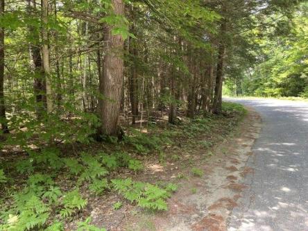 Belanger Rd, Plot For Sale in Portland - Image 1