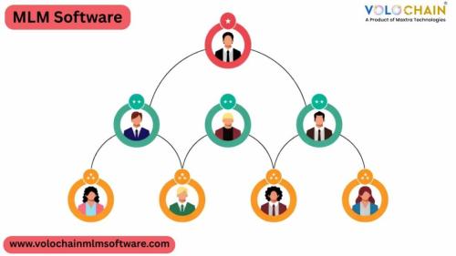 Best MLM Software in India with Smart MLM Matrix Software in Noida - Image 1