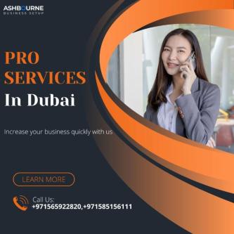 Best Pro Service In Dubai in Dubai - Image 1