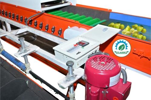 Best Quality Pear Sorting & Grading Machine | Leading Manufactur in Ambāla - Image 1