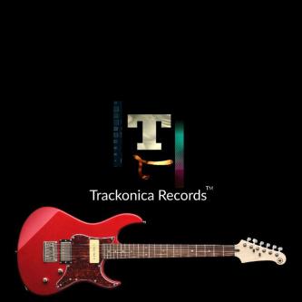 Best Recording Studio In Delhi Trackonica Records in New Delhi - Image 2