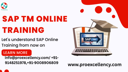 Best SAP TM Training Course 2025 in Ejipura - Image 1