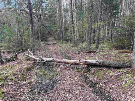 Boynton Rd, Londonderry, Plot For Sale in Troy - Image 1