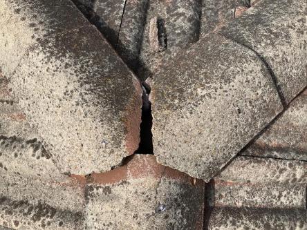 Building and Pest Inspection in Melbourne - Image 9