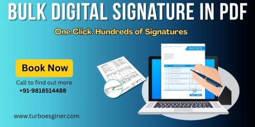 Bulk Digital Signature in PDF – Fast, Secure & Easy with eSigner in Port Blair - Image 1