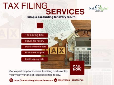 CA for Tax Filing in Rohini | Professional Income Tax Filing in Faridabad - Image 1