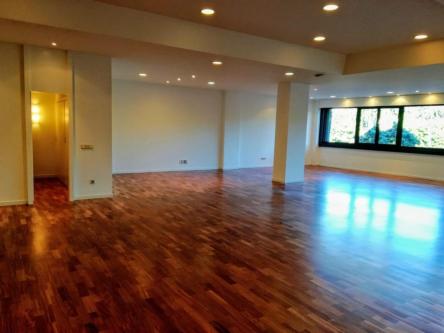 CASA CON PISCINA DISTRIBUIDA EN DOS VIVIENDAS en A Coruña - Imagen 1