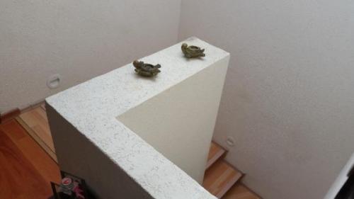 CASA EN CONDOMINIO en Tlalnepantla - Imagen 10