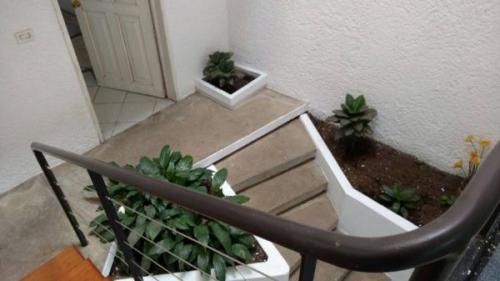 CASA EN RENTA EN COLONIA CARRILLO PUERTO en Xalapa Enríquez - Imagen 18