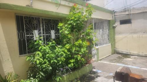 CASA EN VENTA EN REP.DM en Puerto Plata - Imagen 2