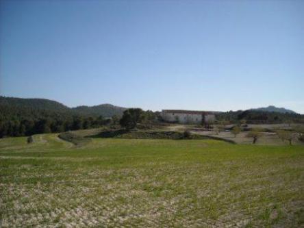 CHALET CON PISCINA, 3 TERRAZAS Y PARKING en Hellín - Imagen 1
