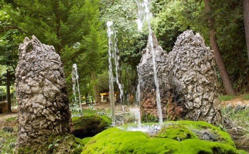 CHALET EN ZONA RURAL CON PISCINA Y BARBACOA. ESPECTACULARES … en Soria - Imagen 1