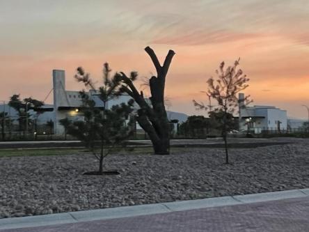CIUDAD MADERAS TERRENOS RESIDENCIALES PREMIUM en Coyoacán - Imagen 6