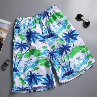 CLEVER Swimming Shorts Trunks, Men Drawstring Quick Dry … in Singapore - Image 1
