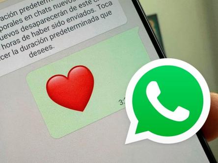 CONTRASEÑAS EN REDES SOCIALES MÉXICO en Tapachula - Imagen 1