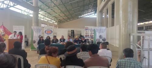 Calculo estructural en Cochabamba - Imagen 3