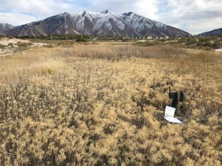 Civil Solutions Group Civil Engineer Cache Valley, SLC & Provo in Ogden - Image 5