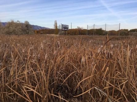 Civil Solutions Group Civil Engineer Cache Valley, SLC & Provo in Ogden - Image 10
