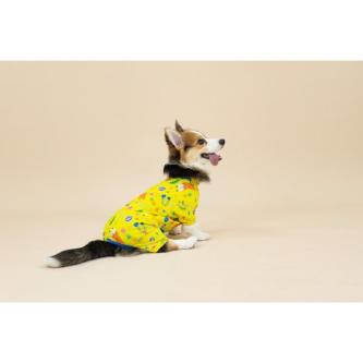 Clawset Anti-Hair Loss Set Corgi Collection Pattern 1 … in Pasir Ris - Image 1