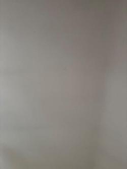 Cleaner needed twice a week in Ratoath - Image 1