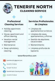 Cleaning od sofas and carpets en La Orotava - Imagen 2