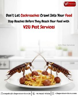Cockroach Exterminator | Professional Cockroach Control & Remova in Bangalore - Image 1