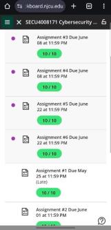 College Homework Help Essays, Research Papers, Discussion Posts in Boston - Image 2