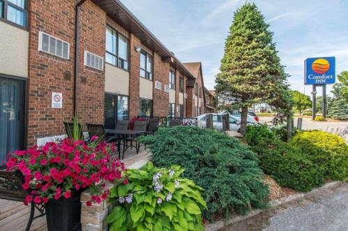 Comfort Inn in Wasaga Beach - Image 1