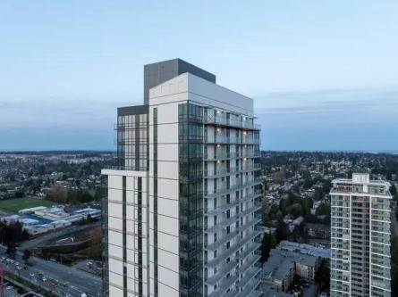 Comma King George in New Westminster - Image 1