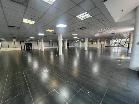 Commercial Property Available for Rent- Springfield Park, Durban in Durban - Image 2