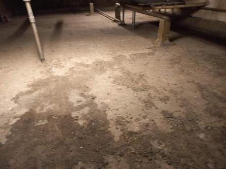 Comprehensive cleaning services in Sandton - Image 4