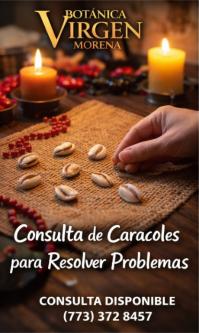 Consulta de Caracoles para Resolver Problemas en Bremen en Mishawaka - Imagen 1
