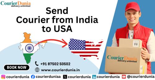 Courier from India to USA Charges - Fast & Affordable in Janakpuri - Image 3