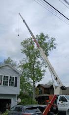 Crane Service - Rhode Island in Cranston - Image 1