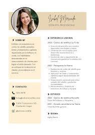 Curriculum Vitae en Mar del Plata - Imagen 3