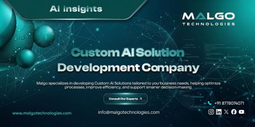 Custom AI Solution Development for Future-Ready Businesses in Rāiganj - Image 1